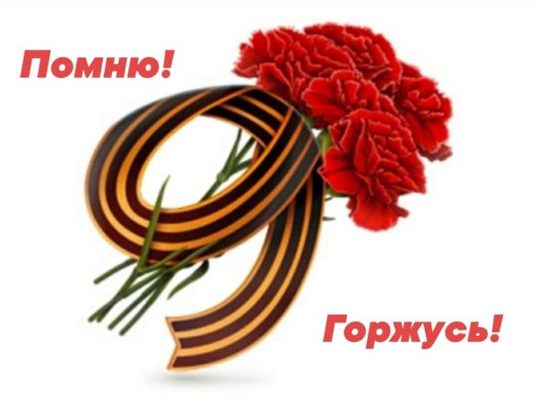 Гвоздики с георгиевской лентой