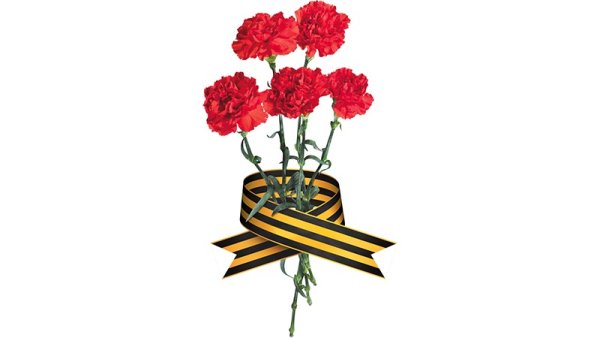Гвоздики 9 мая