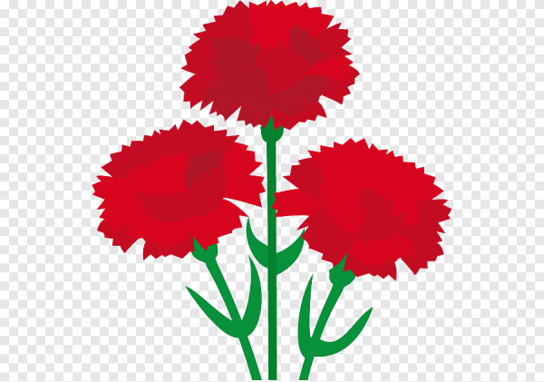 Цветы гвоздики для вырезания