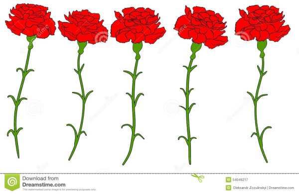 Гвоздики для вырезания