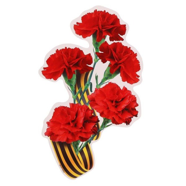 Гвоздики с георгиевской лентой