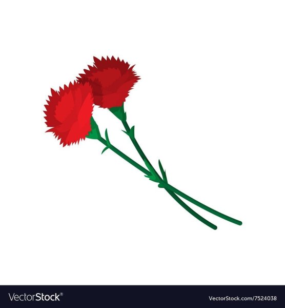 Две гвоздики