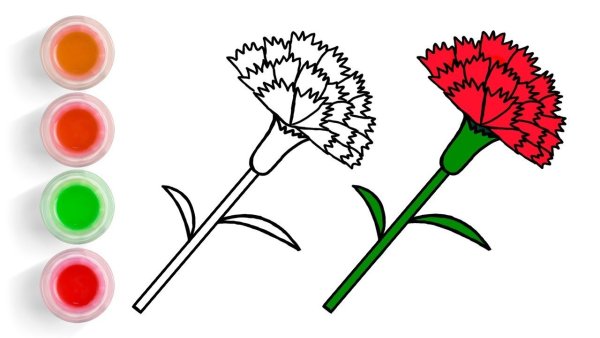 Гвоздики нарисовать