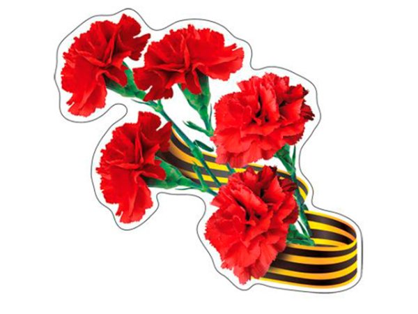 Георгиевская лента с гвоздикой