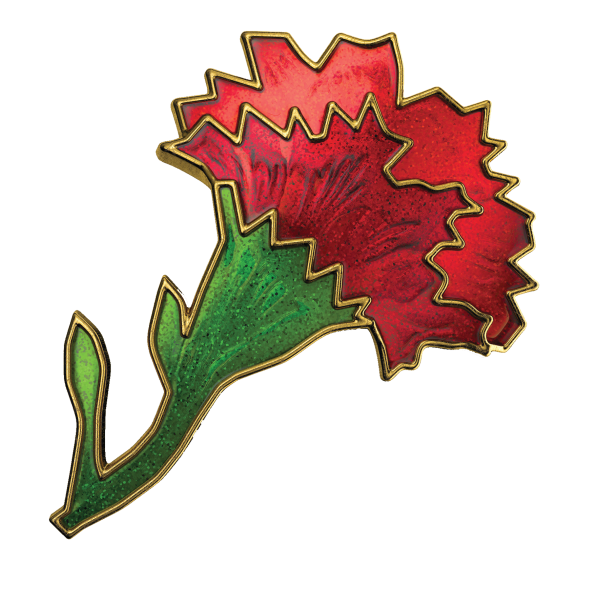 Гвоздики наклейки