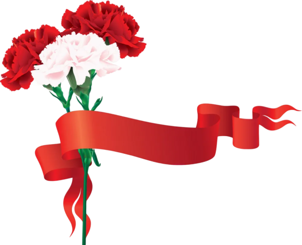 Красная гвоздика с лентой