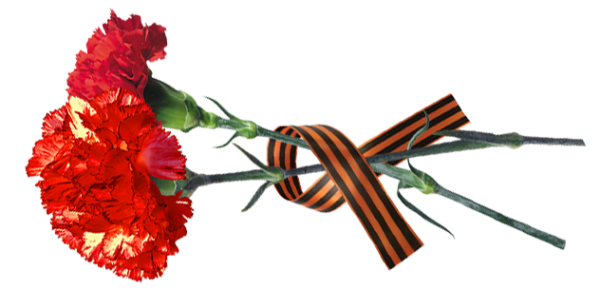 Гвоздика 9 мая