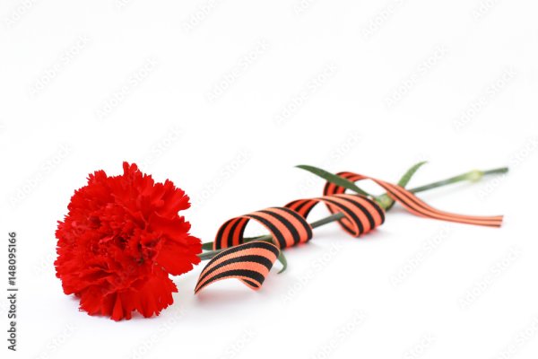 Красная гвоздика с георгиевской лентой