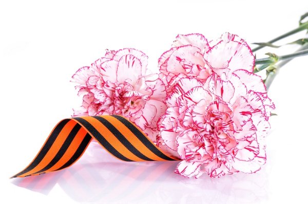 Цветы Победы