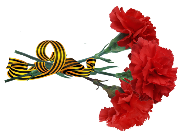 Гвоздики 9 мая