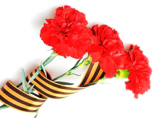 Георгиевская лента с гвоздикой