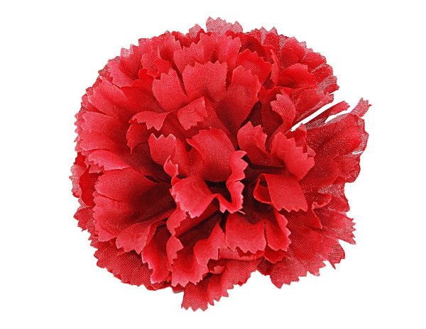 Диантус Лотус