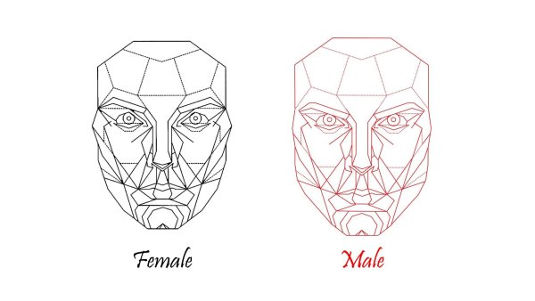 Маска золотого сечения Марквардт