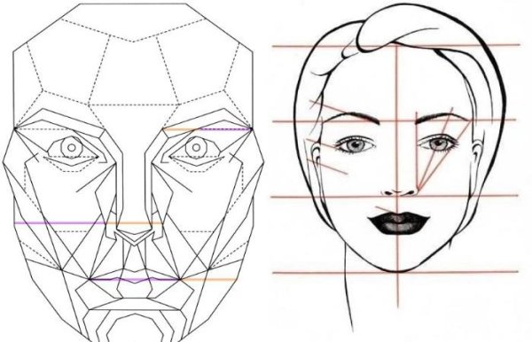 Идеальные пропорции женского лица золотое сечение