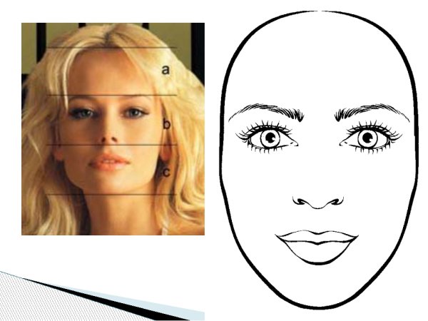 Форма идеального лица