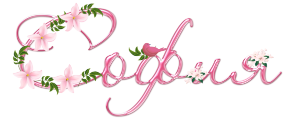 С днём рождения София