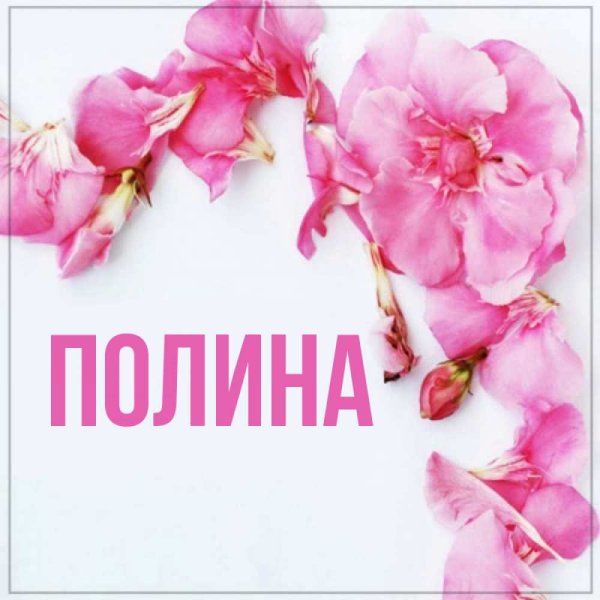 Цветок имени Полина
