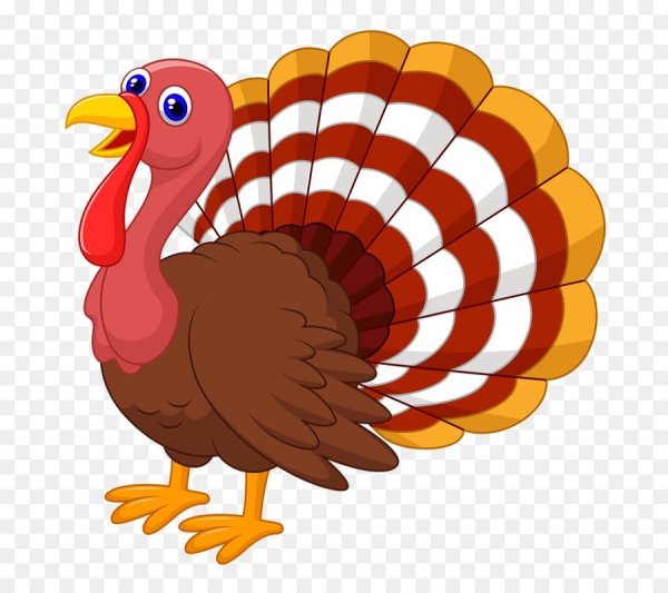 Индюк индюшка индюшонок мультяшные