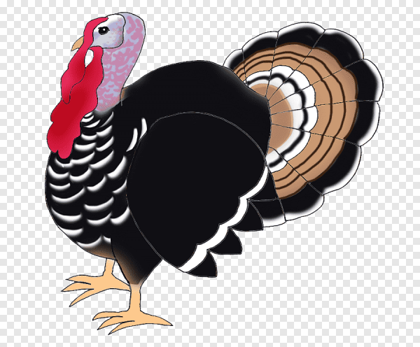 Индюки мультяшные