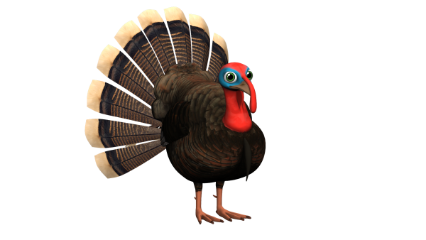 Индейка на белом фоне