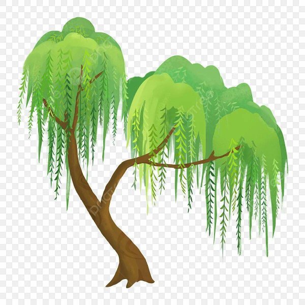 Векторное изображение для детей Ива