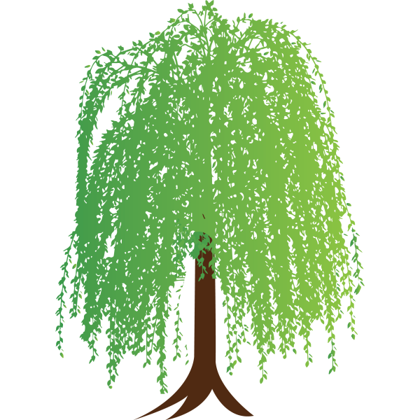 Ива для детей