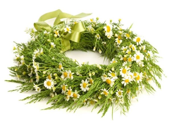 Венок из полевых цветов на белом фоне