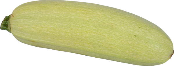 Кабачок один