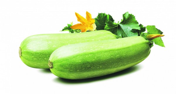 Кабачок для детей