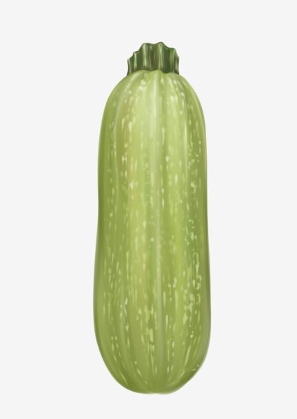 Кабачок на прозрачном фоне