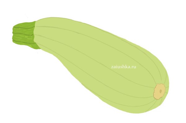 Кабачок мультяшный на белом фоне