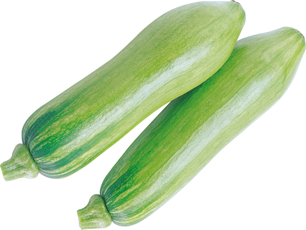 Кабачок картинка для детей на прозрачном фоне