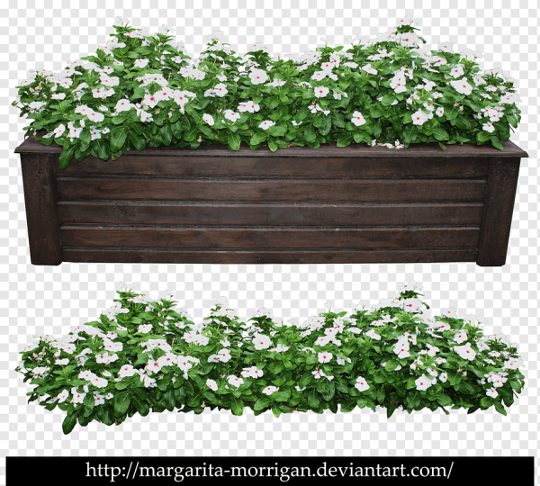 Кадки с цветами на окна PNG