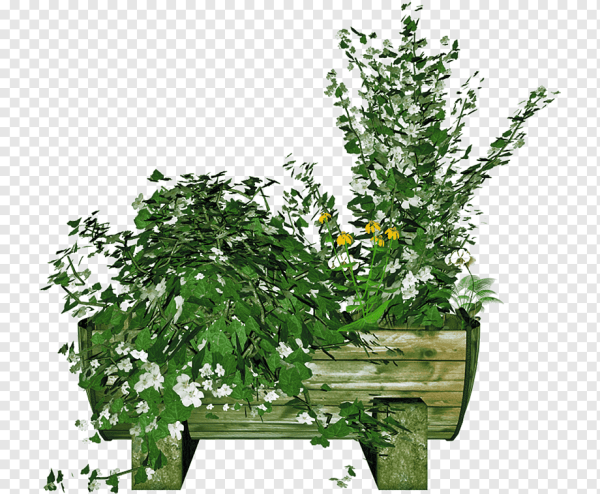 Цветок в горшке для фотошопа на прозрачном фоне