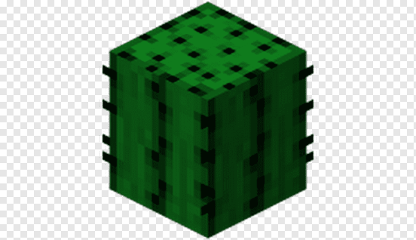 Блок кактуса в МАЙНКРАФТЕ
