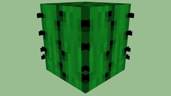 Кактус блок 4r