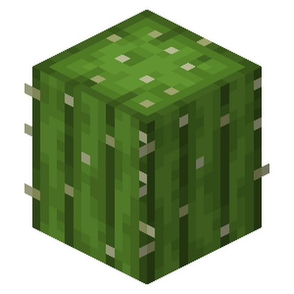 Блок кактуса майнкрафт