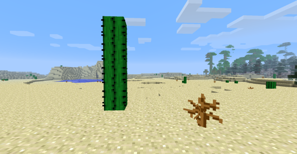 Майнкрафт пустыня с кактусом