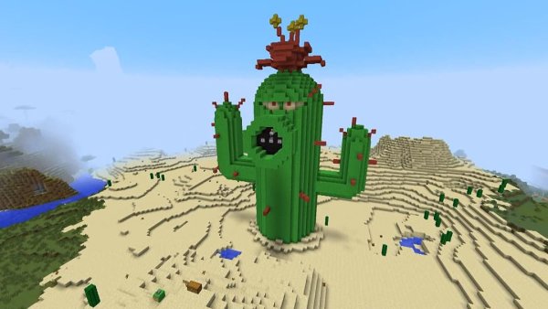 Кактус в Майне постройка