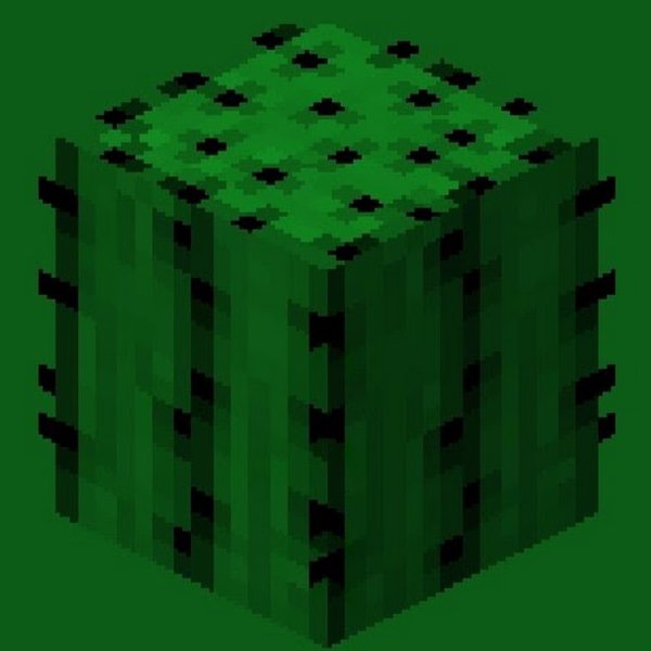 Блок кактуса в МАЙНКРАФТЕ