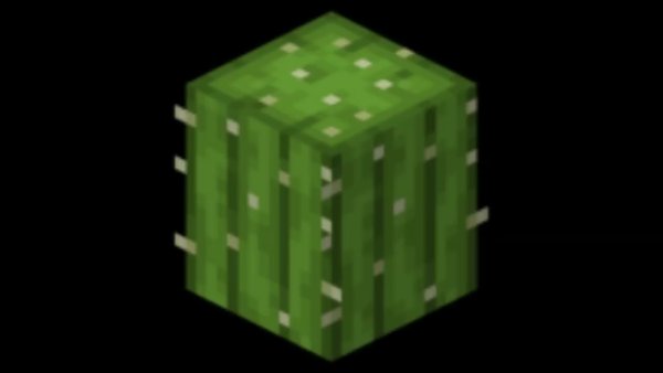 Текстура кактуса в МАЙНКРАФТЕ