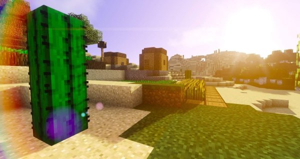 Пустыня в МАЙНКРАФТЕ С кактусом