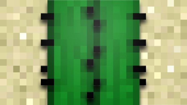 Кактус из МАЙНКРАФТА