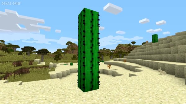 Постройки из кактуса в МАЙНКРАФТЕ