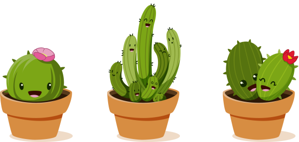 Кактус вектор