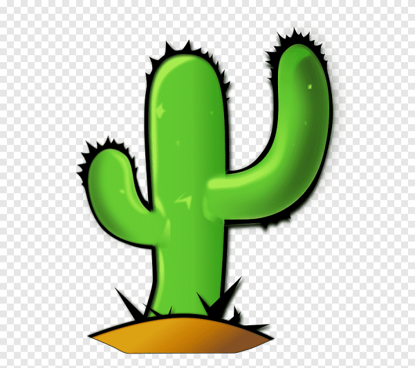 Кактус на прозрачном фоне для фотошопа