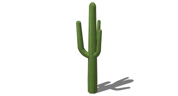 Кактус без фона
