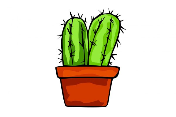 Кактус рисунок