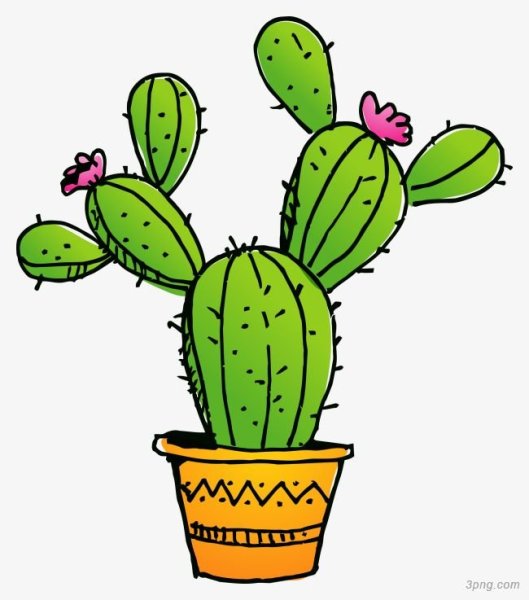 Изображение кактуса для детей