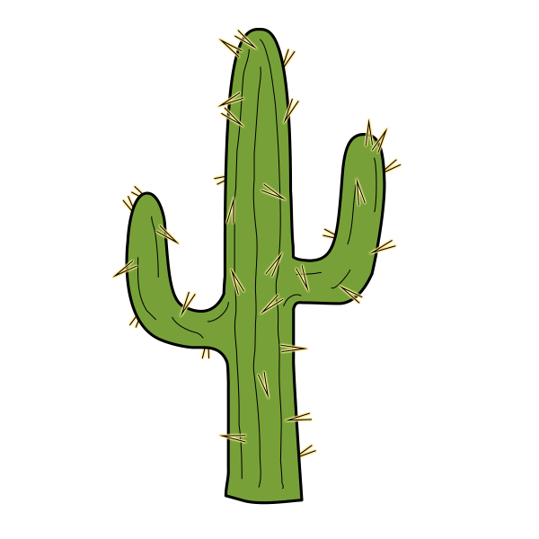 Кактус на прозрачном фоне